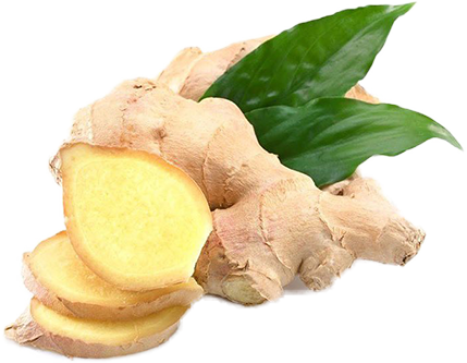 koren đumbira
